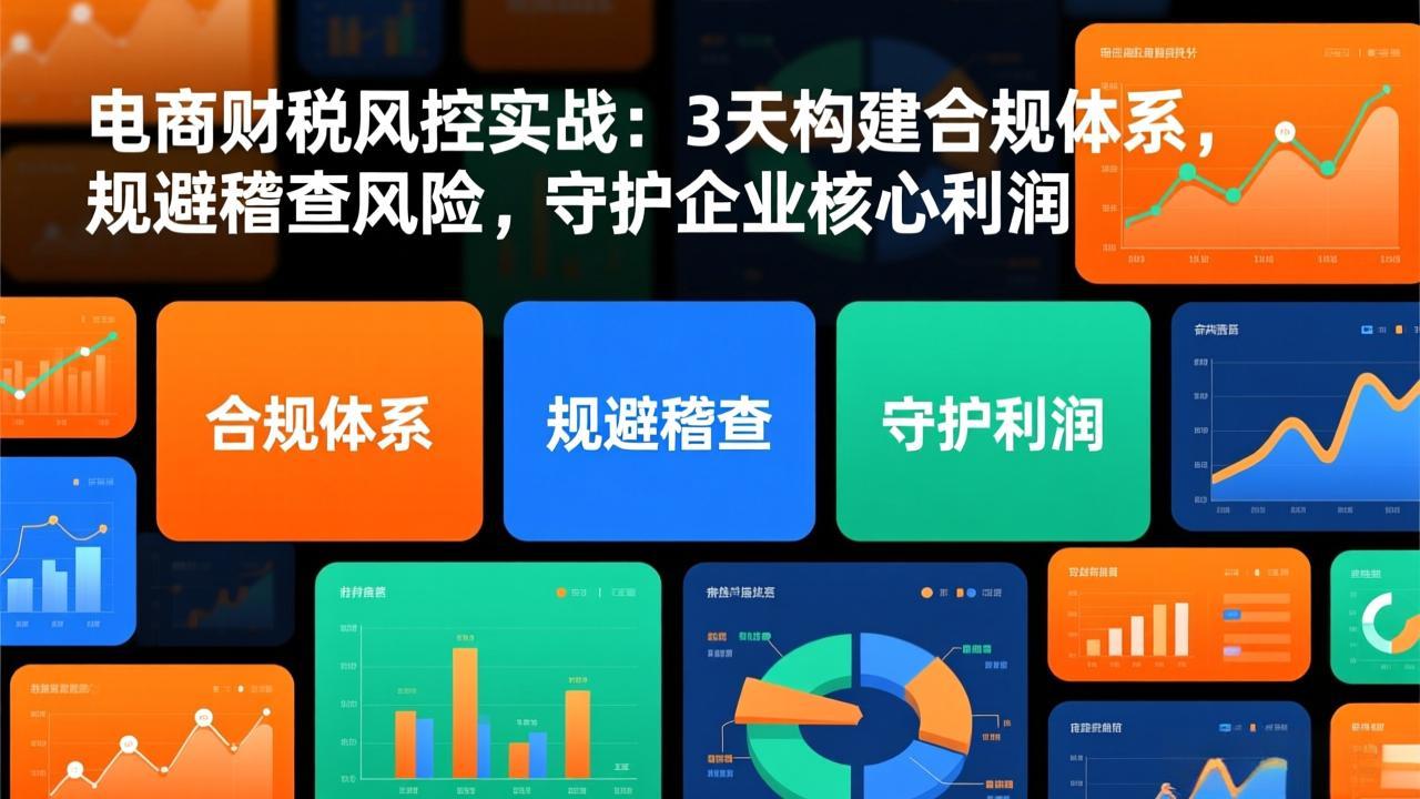 （17197期）电商财税风控实战：3天构建合规体系，规避稽查风险，守护企业核心利润凯哥轻创网-轻创网-创业网-网创项目资源站-副业项目-创业项目-搞钱项目凯哥轻创网