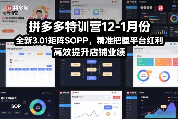 拼多多特训营12-1月份，全新3.01矩阵Sop，精准把握平台红利，高效提升店铺业绩凯哥轻创网-轻创网-创业网-网创项目资源站-副业项目-创业项目-搞钱项目凯哥轻创网